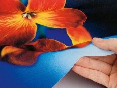 Wide Format Fabric Printing