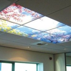 Rainbow Trees Light Fixture