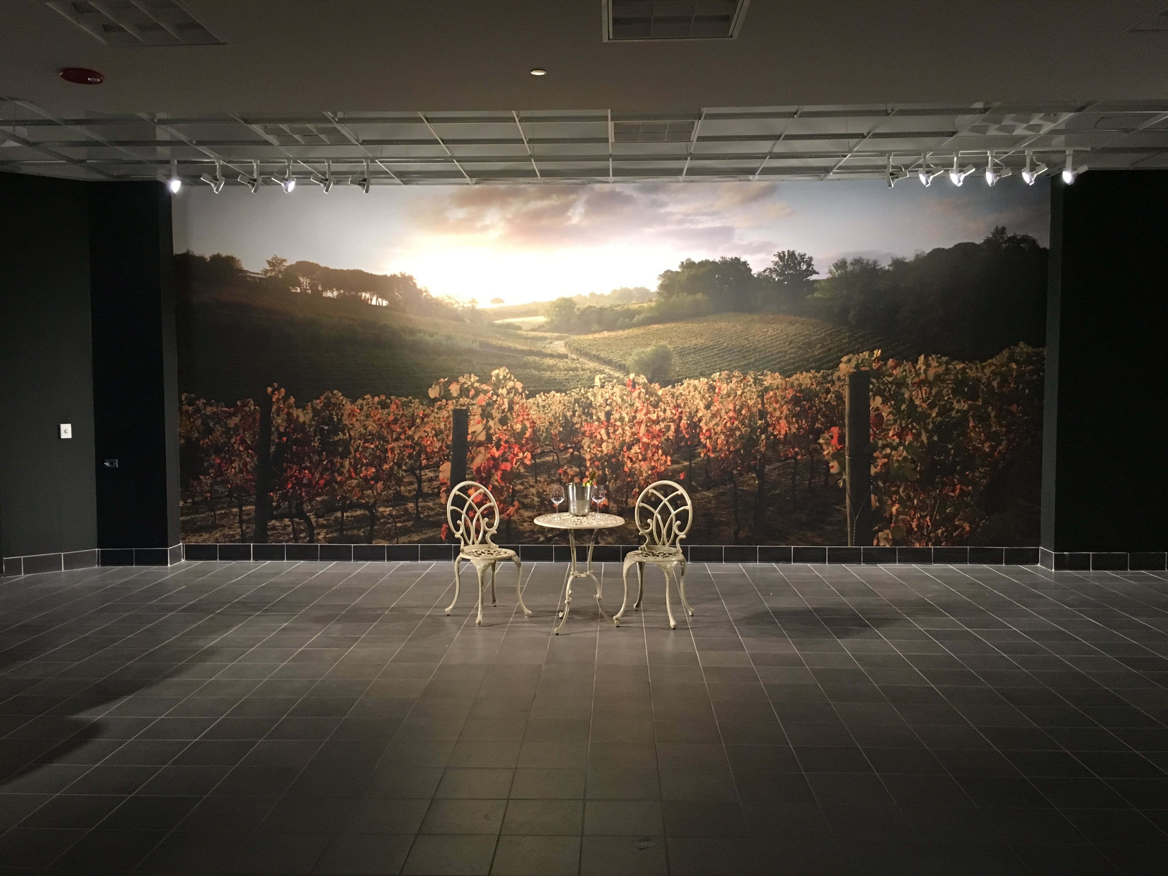 Seamless Matched Panel Graphics of Castellani's Vineyards in Tuscany