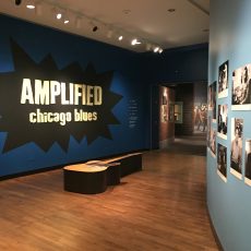 Amplified: Chicago Blues