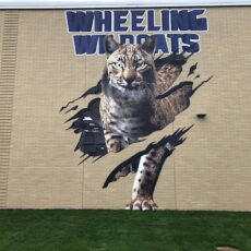 Benchmark goes wild with BIG building wrap