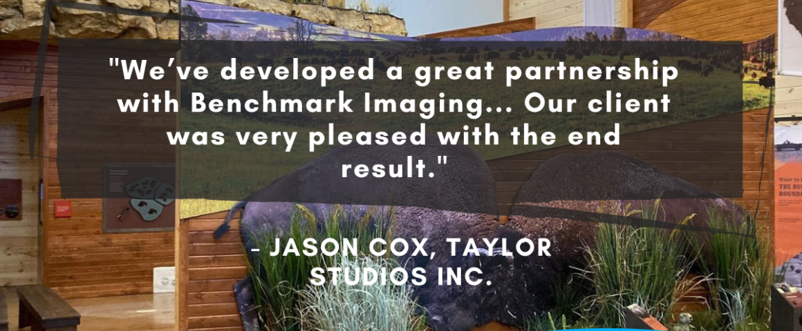 Case Study: A Collaborative Success with Taylor Studios Inc.